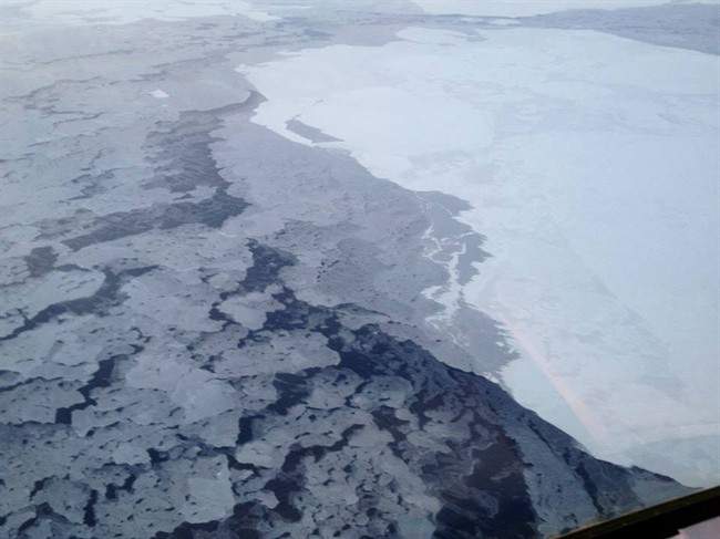 Arctic sea ice