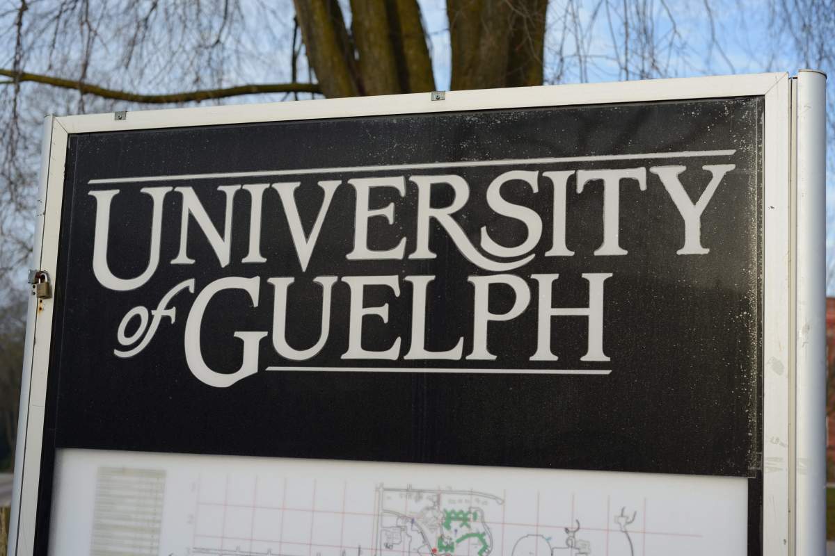 University of Guelph have implemented an anti-racism policy statement.