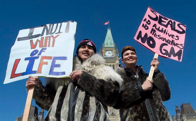 Sealskin marks protest on Parliament Hill