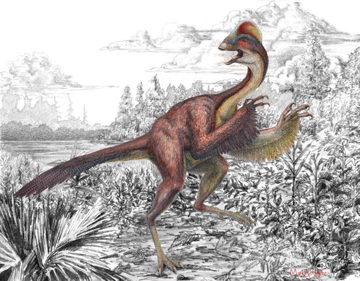 This illustration provided by the Carnegie Museum of Natural History on March 18, 2014 shows the dinosaur Anzu wyliei. 