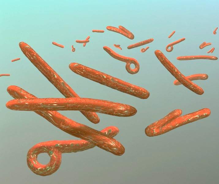 Samples from victims of a viral hemorrhagic
fever that has killed more than 50 people in Guinea have tested
positive for the Ebola virus, government officials said Sunday,
marking the first time an outbreak among humans has been detected in
this West African nation.
