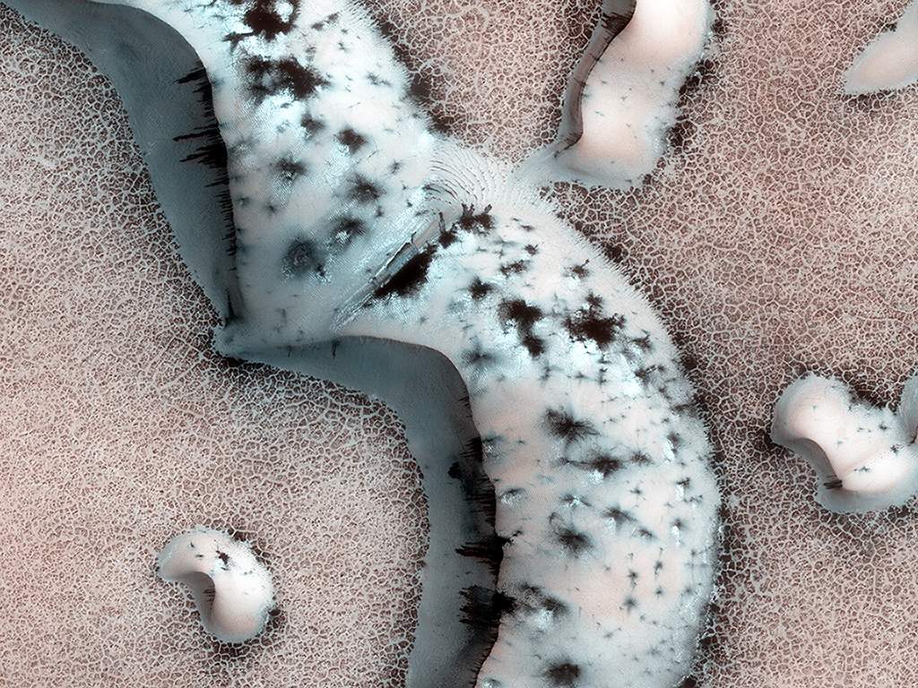 Bird in the sand. This bird-like dune lies in Mars’s north polar region. The bright spots are carbon dioxide frost. During the spring the frost sublimates (turns directly from a solid to vapour), producing jets of carbon dioxide mixed with dust leading to the dark features seen in the image.