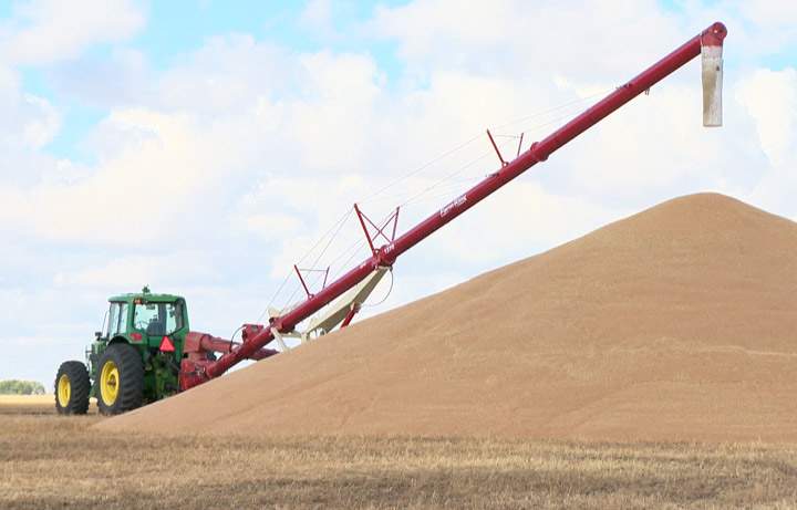 Saskatchewan set another record for agriculture exports, reaching $11.7 billion last year.