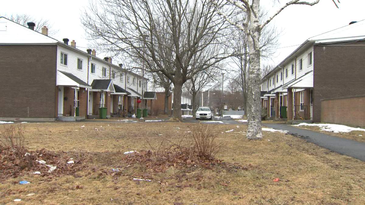 Halifax police spent much of Sunday, searching a home on MacAlpine Avenue.