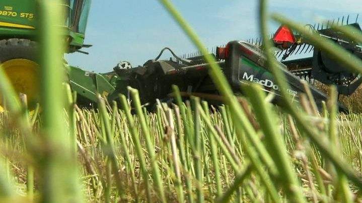 A new report is recommending farm safety training and routine equipment checks in Alberta.