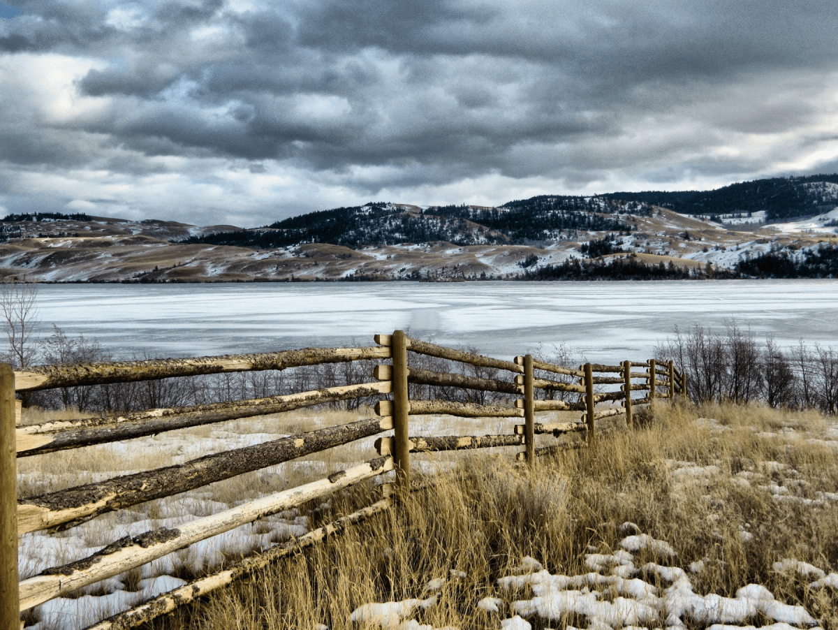 Laurel Enderby - Douglas Lake Ranch.