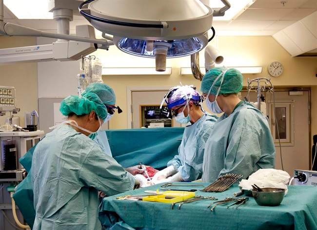 Womb transplant