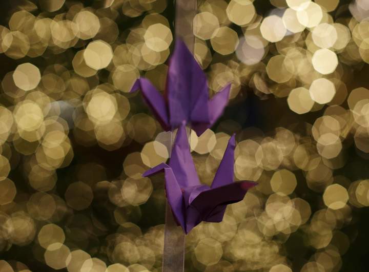 Paper cranes hang from a tree as a symbol of hope and healing during a ceremony in memory of passengers on board the missing Malaysia Airlines Flight MH370 in Kuala Lumpur, Malaysia on Thursday, March 27, 2014. 