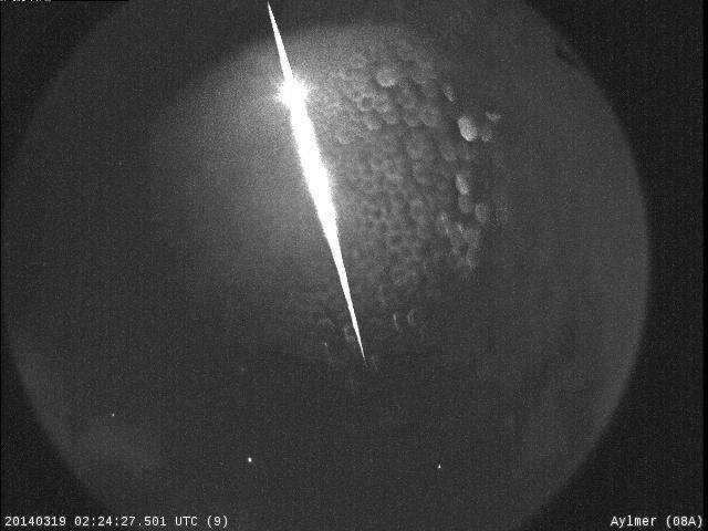 Western University tweeted this photo of the alleged meteorite.