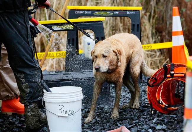More mudslide victims found as state seeks new aid - image