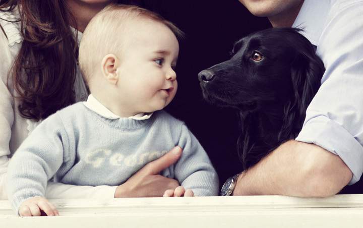 New photo of Prince George released - image