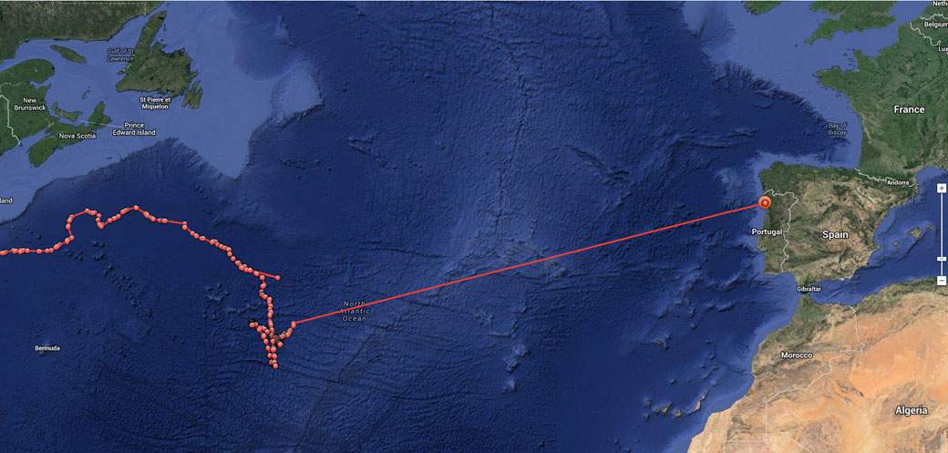 The complete journey of Rizzilient after she was tagged in July 2013.