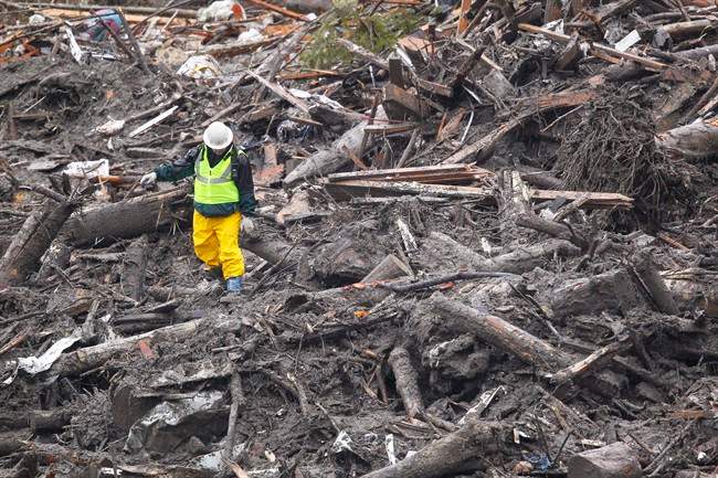 A searcher walks through debris at the scene of a deadly mudslide Saturday, March 29, 2014, in Oso, Wash. 