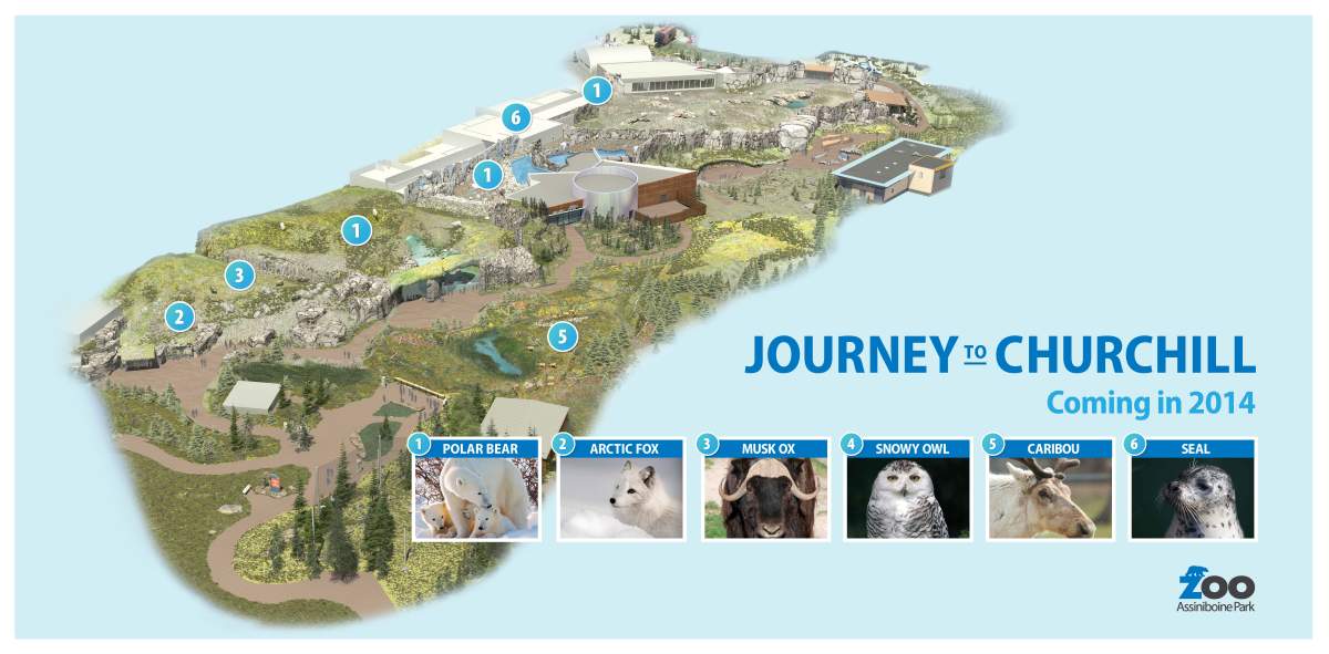 Journey to Churchill on track - image