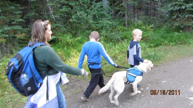 Caleb Weidenbacher's autism support dog Richie provides safety and comfort in public places and at home. 