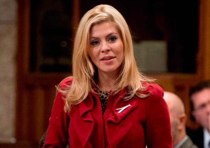 Who is Tory MP Eve Adams?