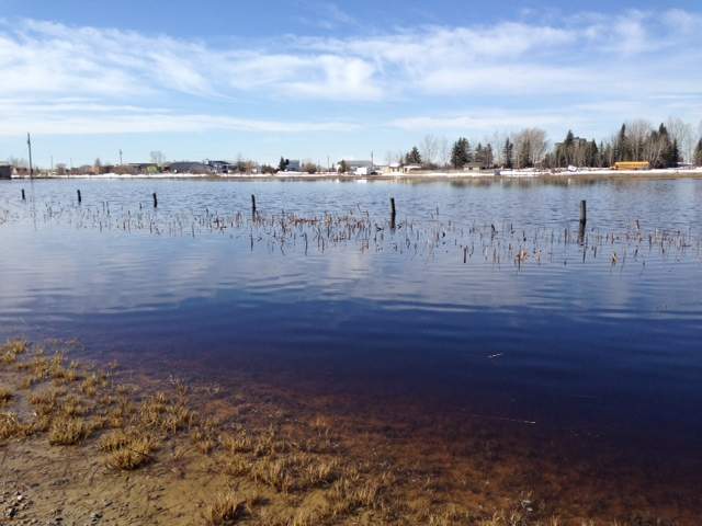 Alberta flooding is literally making people sick - image