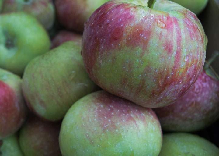 An apple a day keeps the doctor away.