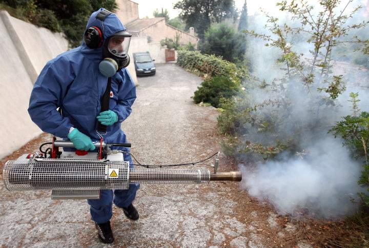The WHO said chikungunya virus has reached epidemic proportions since 2004, as it spread into new areas, including Europe.