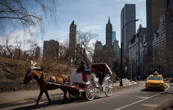 Horse-drawn carriage