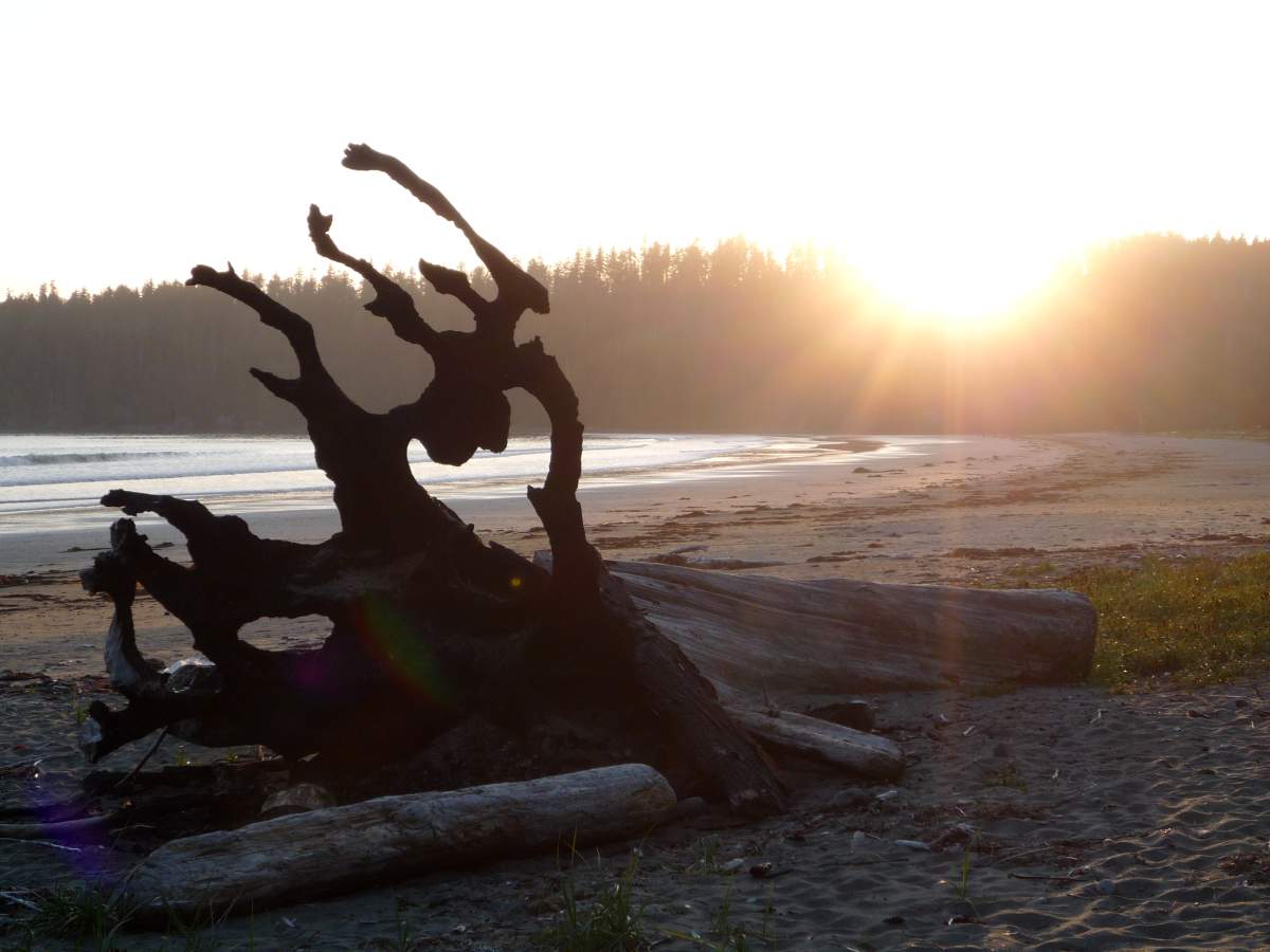 A viewer-submitted photo of Pachena Bay, the picturesque beach that scientists forecast as an epicentre for the next massive earthquake and tsunami.
