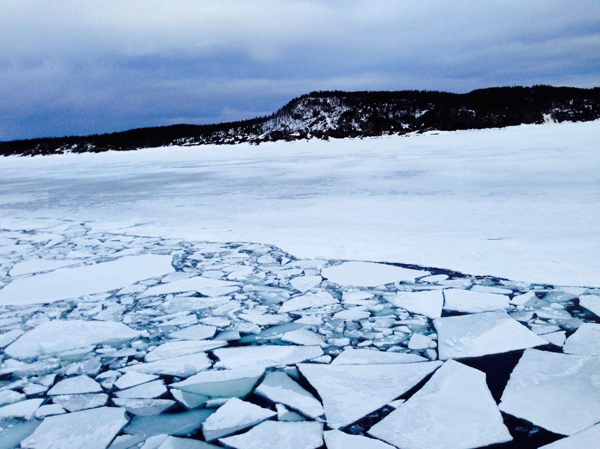The ferry to Fogo Island, NL has to forge a path through a sheet of ice covering the Atlantic Ocean.