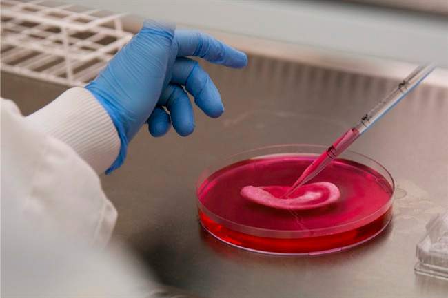 UK scientists make body parts in lab