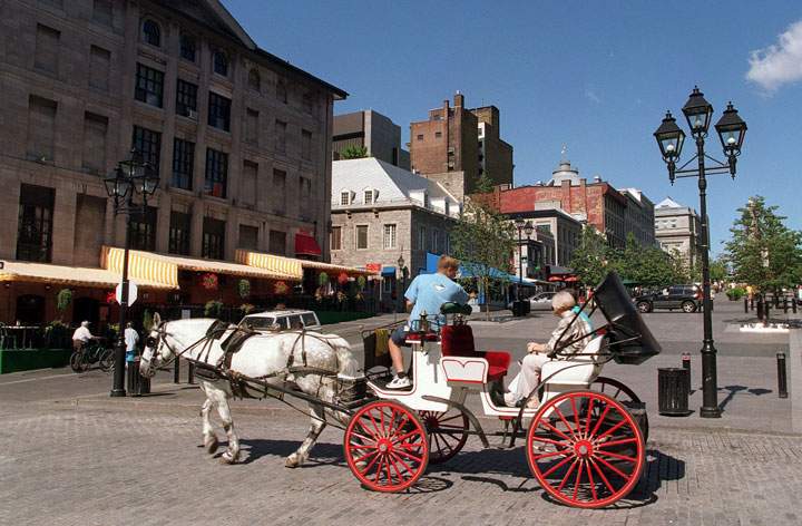 Montreal horse-drawn carriage