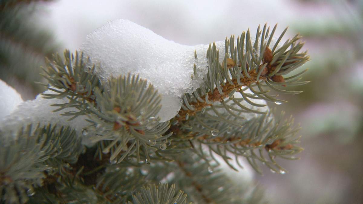 Nine accidents were reported between 8 p.m. on Sunday night and noon on Monday, according to Regina Police Service.