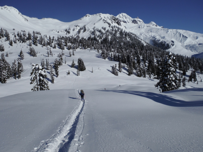 It was in this stretch of Garibaldi Provincial Park, near the Elfin Lakes Shelter, where Christine Newman was found.