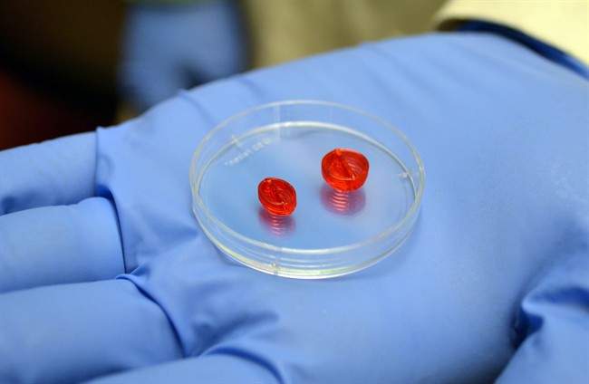 In this March 6, 2014 photo, a 3D printer was used to construct these tiny two-ventricle cylinders at the University of Louisville, in Louisville, Ky. 
