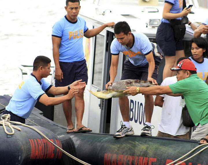 The Philippines charged nine Chinese fishermen with poaching more than 500 endangered sea turtles at a disputed South China Sea shoal.