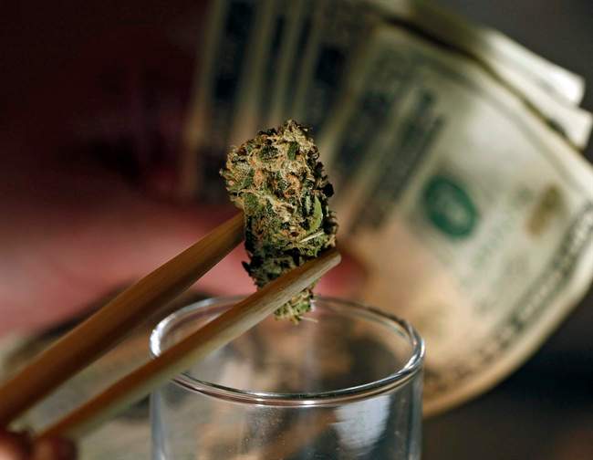 Colorado marijuana