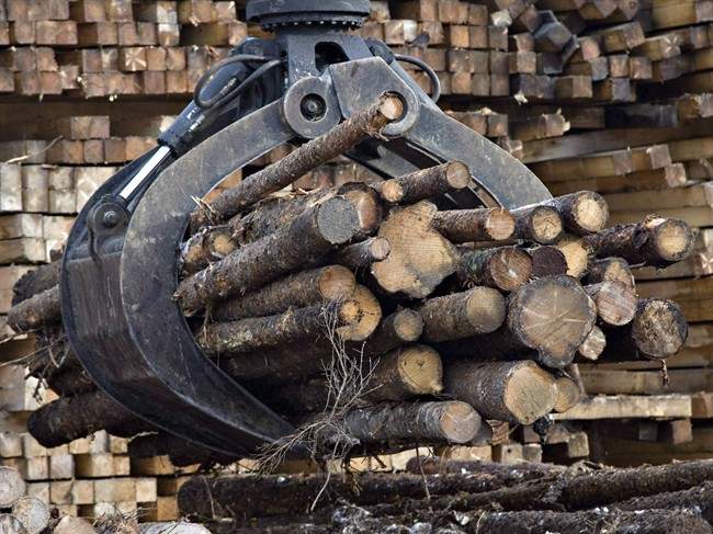 Alberta records 8th workplace death in 6 weeks - image