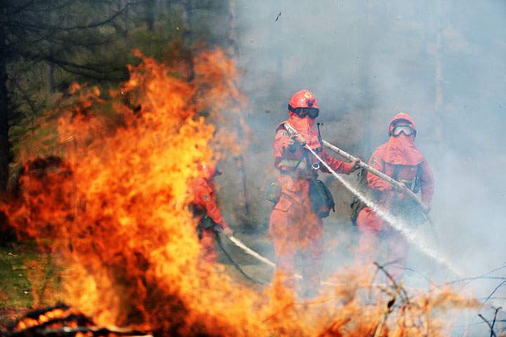 Forest fires