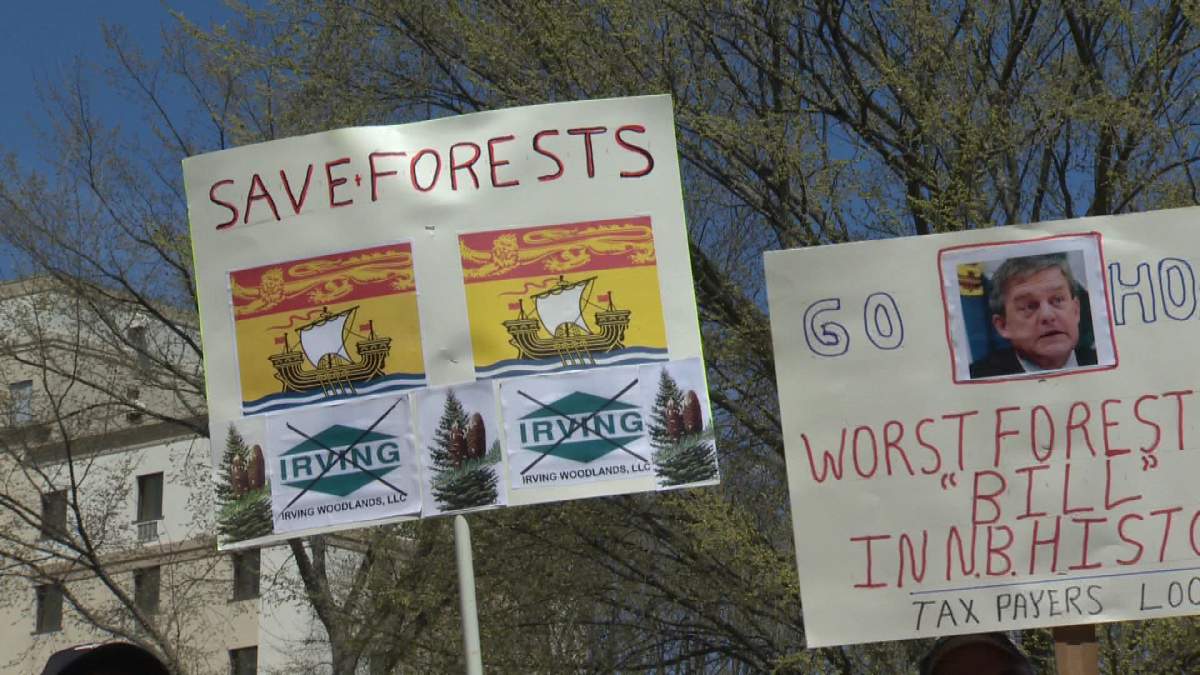 First Nation chiefs look to block new N.B. forestry strategy - image