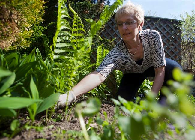 Avoid overdoing garden work to prevent sore back