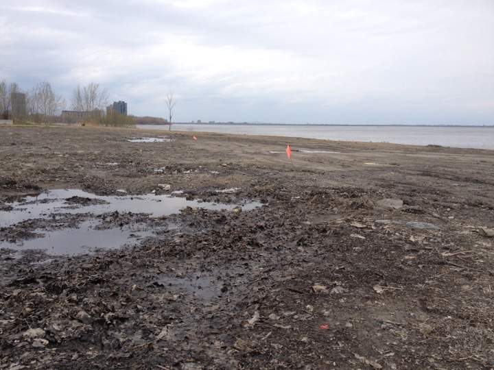 verdun toxic dump site
