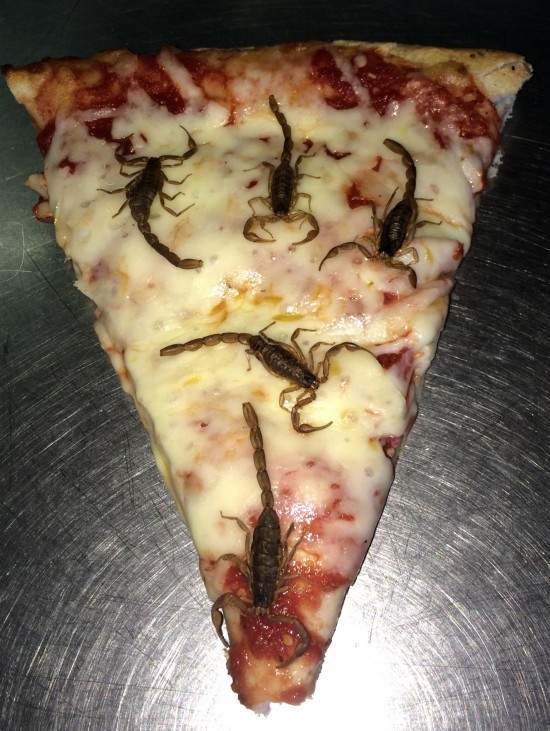 GALLERY: Scorpion pizza, deep fried sushi among new foods at Calgary Stampede - image