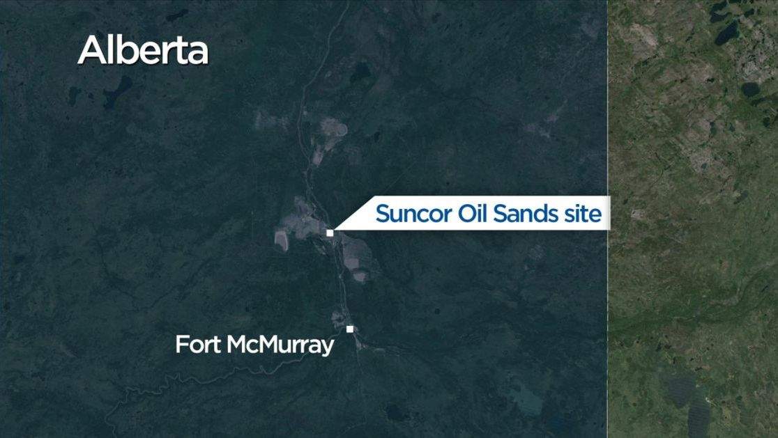 Oilsands worker killed by black bear - image
