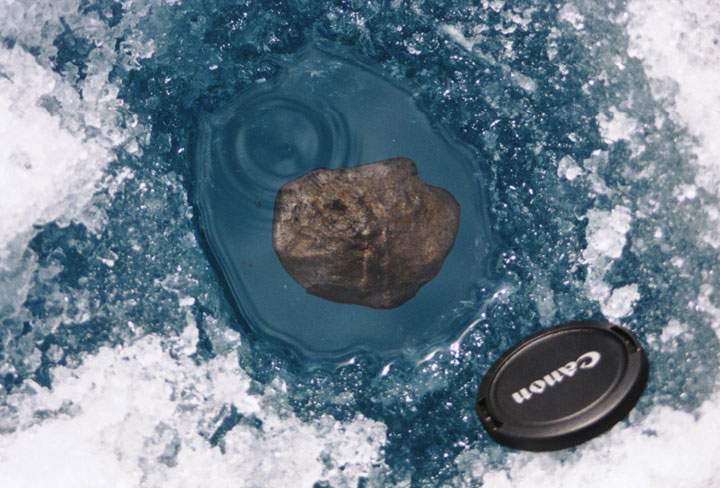 A fragment of the Tagish Lake meteorite