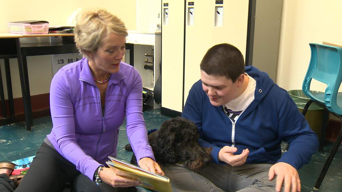 “Bo” lets Neil Downey read to him, as part of a reading therapy program at Moncton High School.