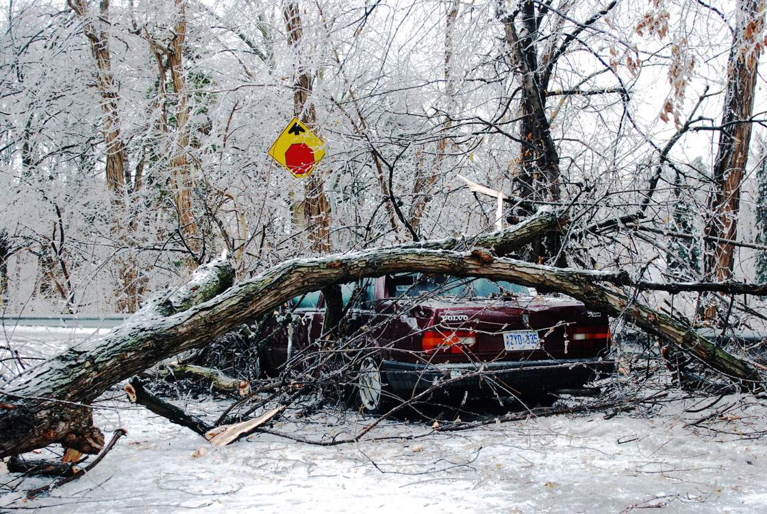 The Lawrence Park area hit by the ice storm, Toronto, Ont., Dec. 22, 2013.