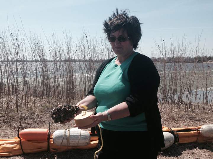 Zebra mussels cover a float, left, while Michelle Wheatley from Fisheries and Oceans also holds a clean one for comparison.