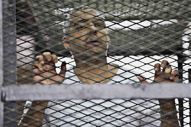 Mohamed Fahmy