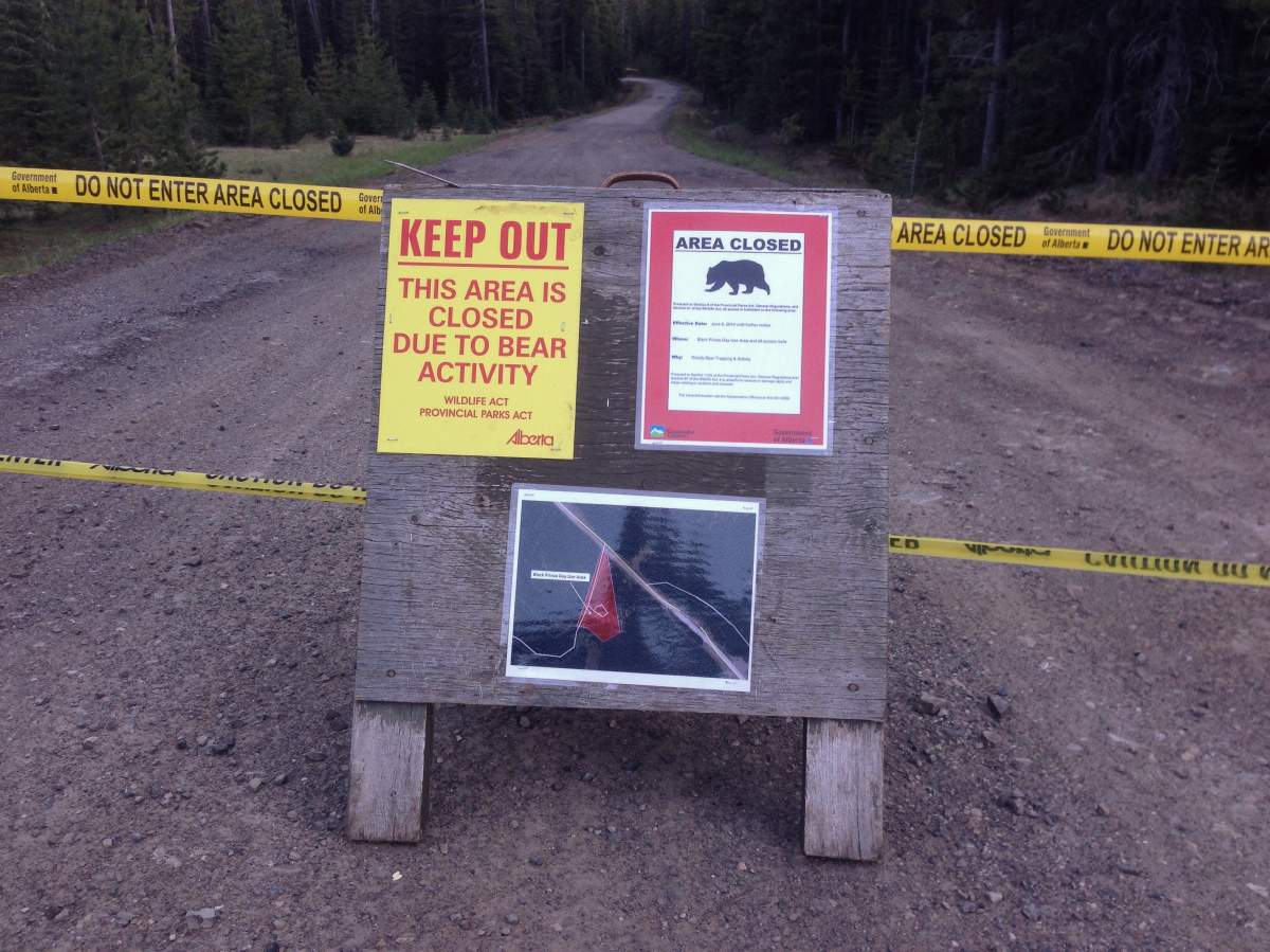 Bear Closure