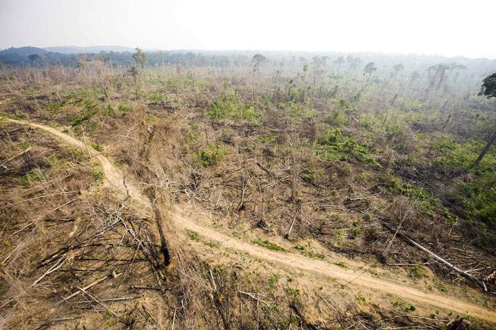 A deforested area at a clandestine settlement is seen inside the Jamanxim National Forest, state of Para, northern Brazil, November 29, 2009.