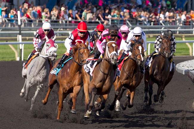 File photo: Jockey Patrick Husbands guides Lexie Lou (pink silks) to victory in the $500,000 Woodbine Oaks at Woodbine Racetrack in Toronto on Sunday, June 15, 2014.