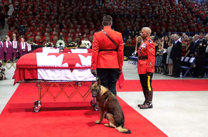 Danny the RCMP dog to continue service