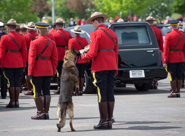 K9 dog Danny, sniffs the stetson of his partner, slain Const. David Ross’ during the funeral procession for the three RCMP officers who were killed on duty, at their regimental funeral at the Moncton Coliseum in Moncton, N.B. on Tuesday, June 10, 2014.